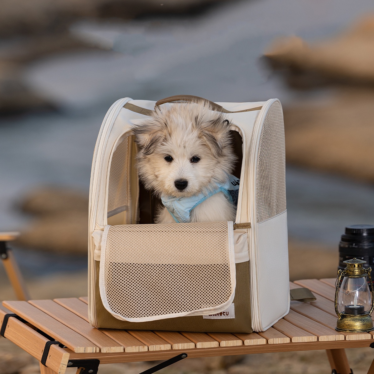 Pet Carrier Backpack Breathabl - مراجعة Foldable Backpack Small وسعره