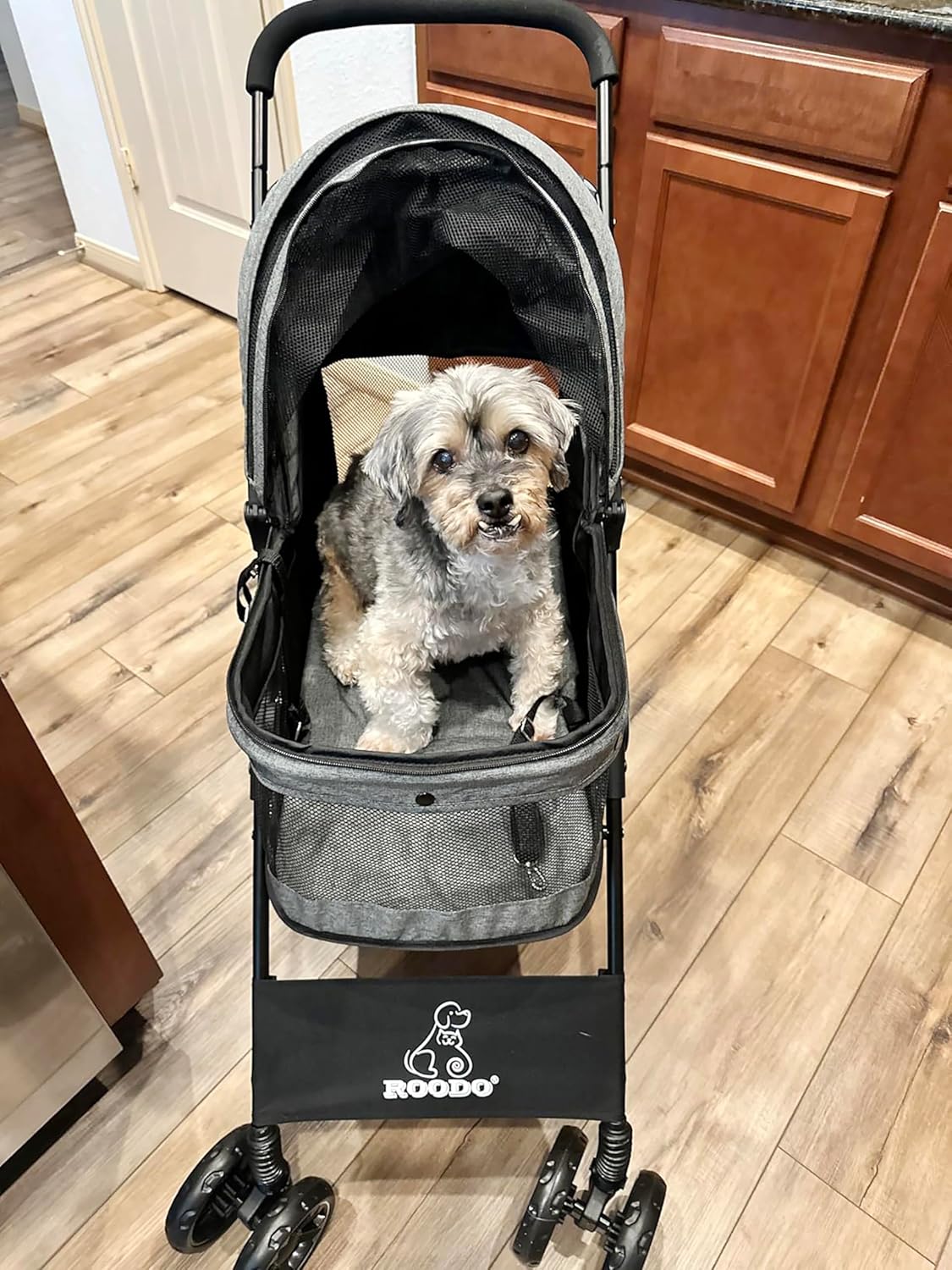 4 Wheel Dog Cat Pet Stroller,  - مراجعة Foldable Backpack Small وسعره