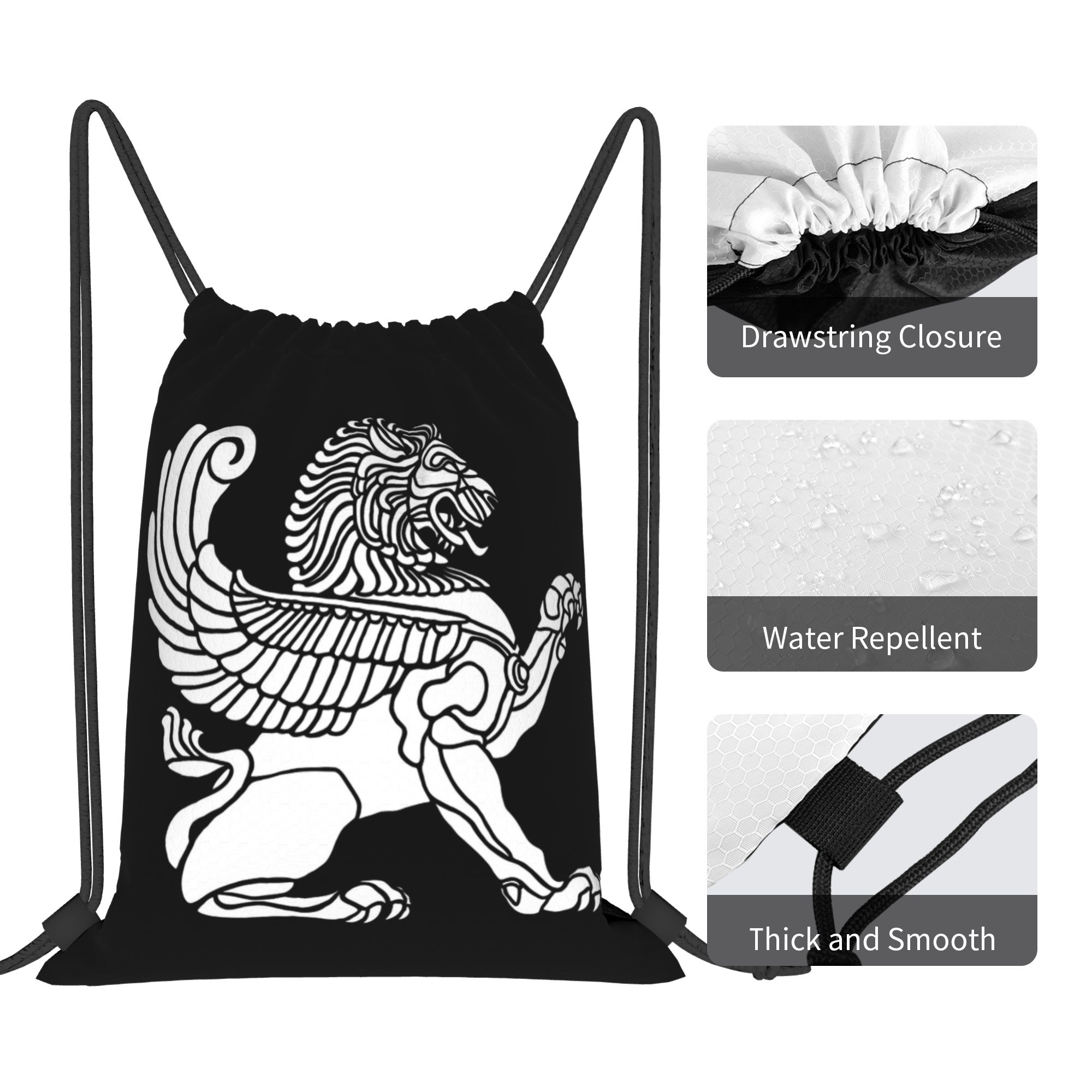 Persian Lion Iranian Iran Pers - مراجعة Drawstring Gym Bag وسعره