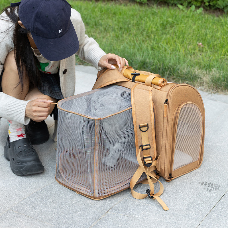 Portable cat bag, expandable l - مراجعة Foldable Backpack Small وسعره
