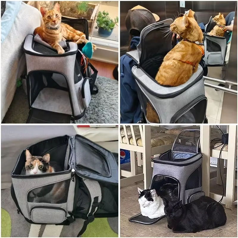 Cat Bag Outdoor Portable Cat B - مراجعة Foldable Backpack Small وسعره