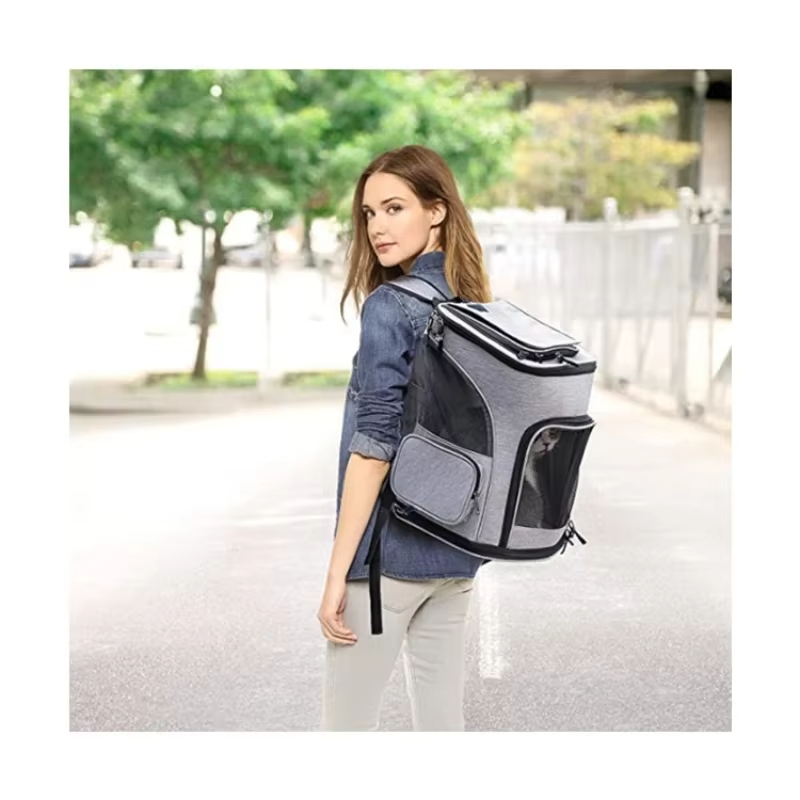 Cat Bag Outdoor Portable Cat B - مراجعة Foldable Backpack Small وسعره