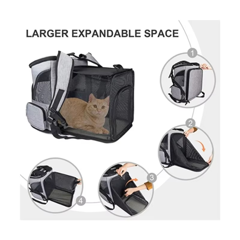 Cat Bag Outdoor Portable Cat B - مراجعة Foldable Backpack Small وسعره